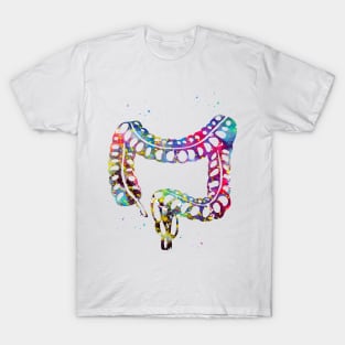 Lower gastrointestinal tract T-Shirt